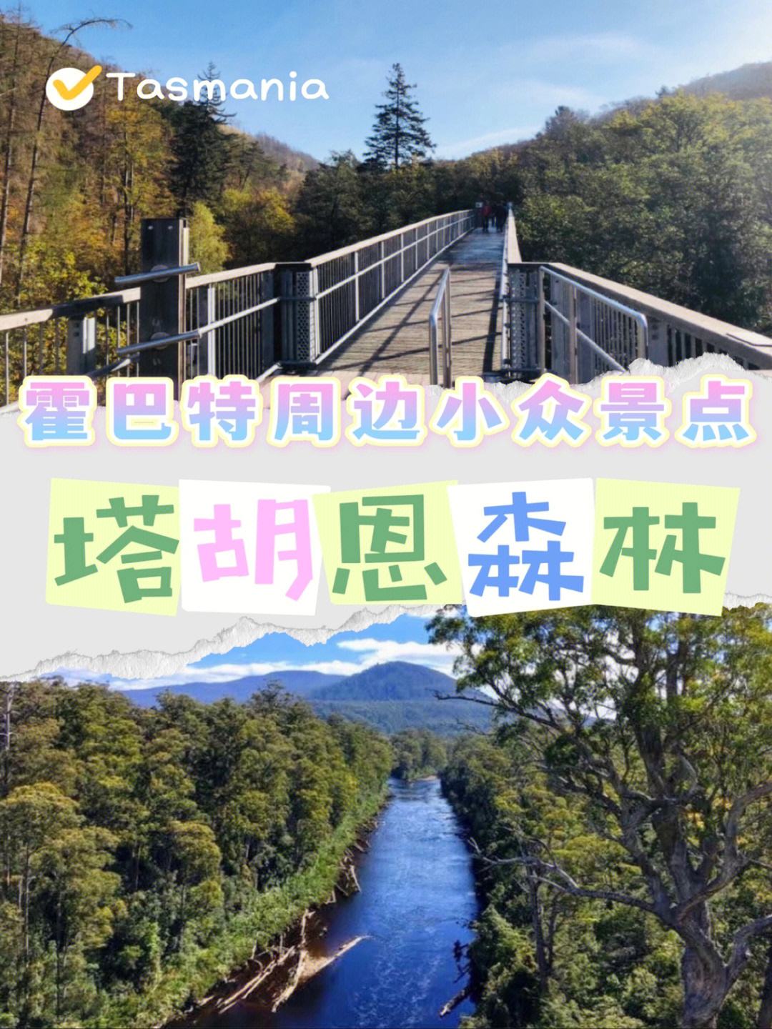 澳客体育-包含河床新星爆发，挑战塔斯马尼亚联防线坚固的词条