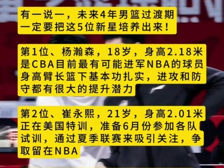 杨瀚森给所有人留下深刻印象他是开拓者长期计划的简单介绍