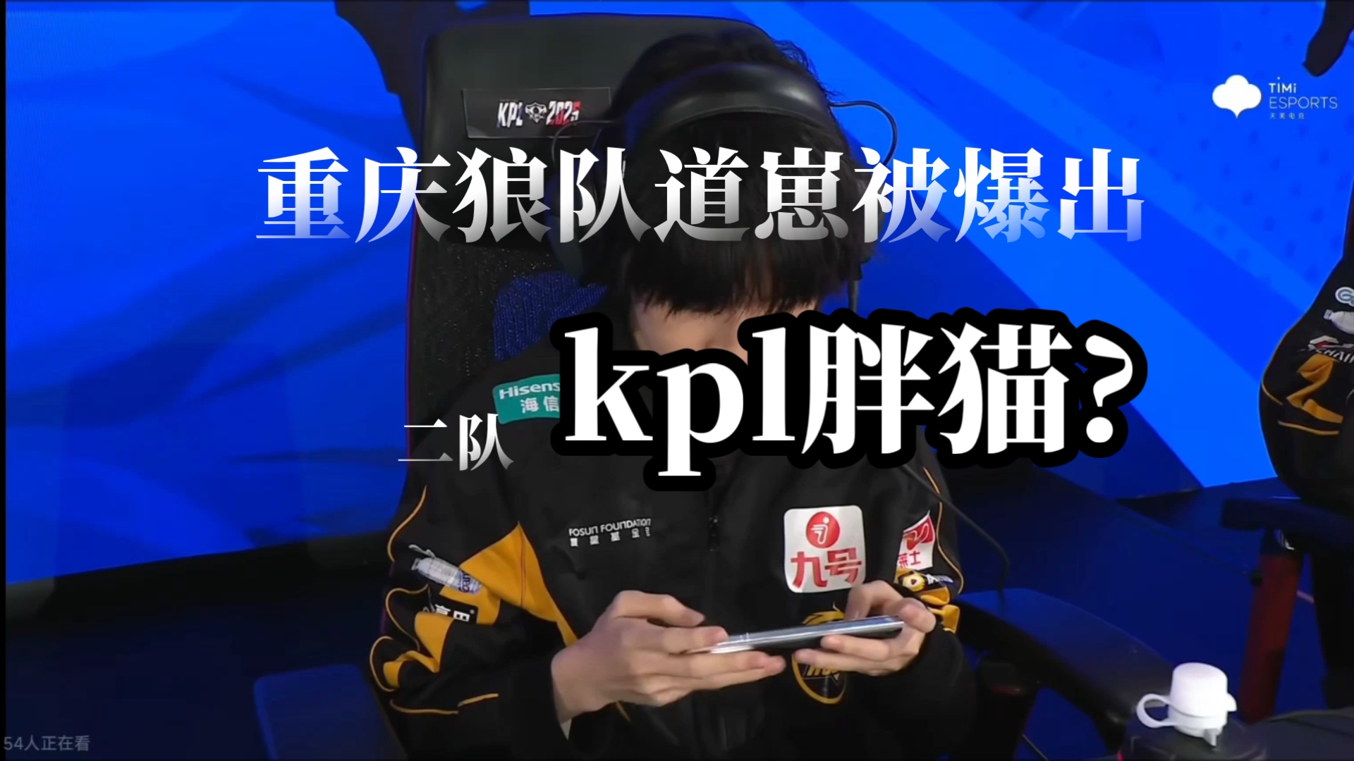 狼队发布道崽生涯数据：挑杯首个五杀戈娅，公孙离使用最多的简单介绍